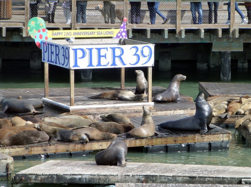 San Francisco: Hop-On Hop-Off City Bus Tour and Bay Cruise - The San Francisco Bay Cruise: 60 Minutes That Actually Changes the View