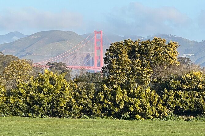 San Francisco: Major Landmarks Private Sightseeing Tour - Language and Group Size: What to Expect Before You Go