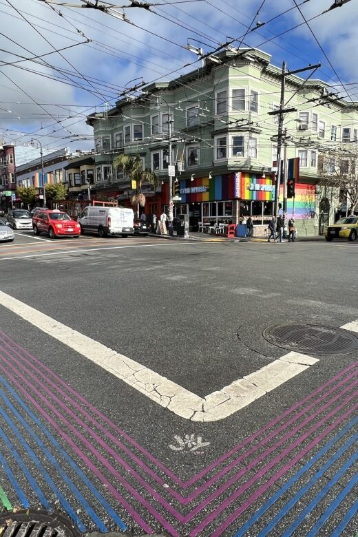 San Francisco : Mission and Castro districts tour in French - Mission Dolores and the Latin Quarter: Murals, Palm-Lined Dolores Street, and Women’s Building