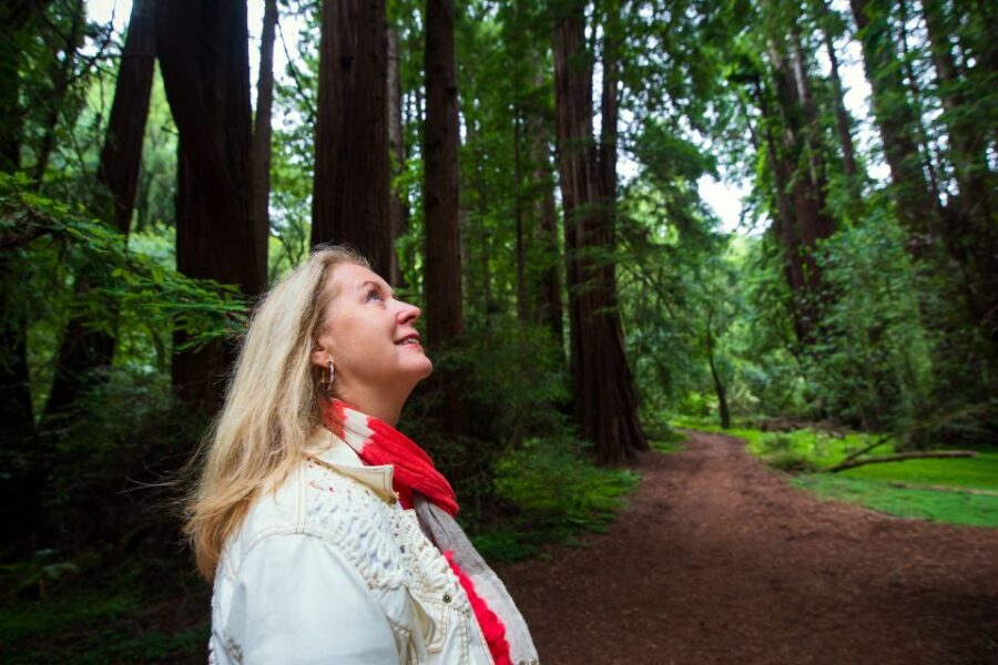 San Francisco: Morning Muir Woods & Sausalito Tour w/ Ferry - Sausalito: lunch time and a slower, upscale waterfront vibe