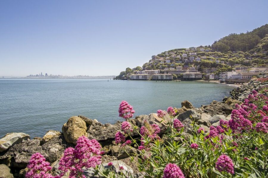 San Francisco: Muir Woods and Sausalito Experience - Pacific Coast Highway (Route 1) and the Mt. Tamalpais angle