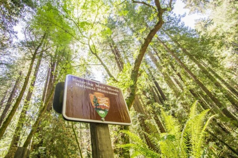 San Francisco: Muir Woods and Sausalito Experience - Golden Gate Bridge views and the North Vista Point stop