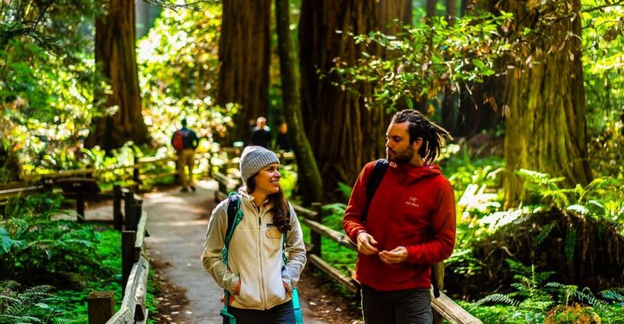 San Francisco: Muir Woods and Sausalito Half-Day Trip - Key things to know before you go