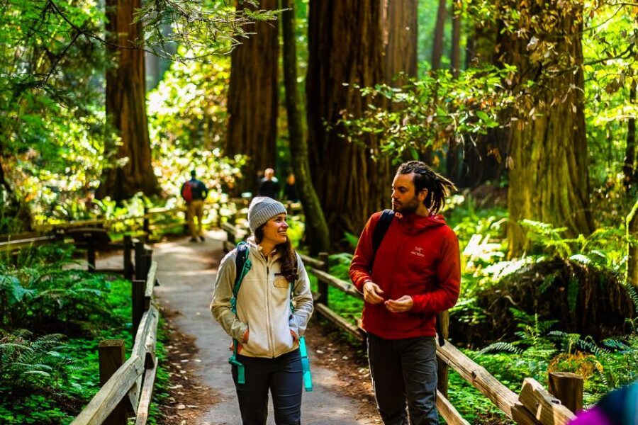 San Francisco: Muir Woods and Sausalito Half-Day Trip - Choosing what to prioritize in Sausalito (so you don’t feel rushed)