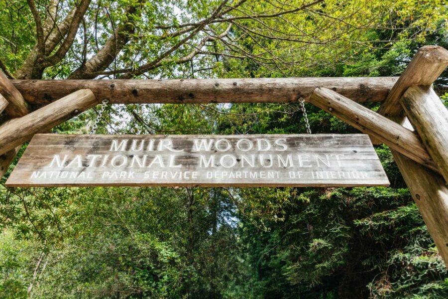 San Francisco: Muir Woods and Sausalito Small Group Tour - What to Bring (and What to Skip)