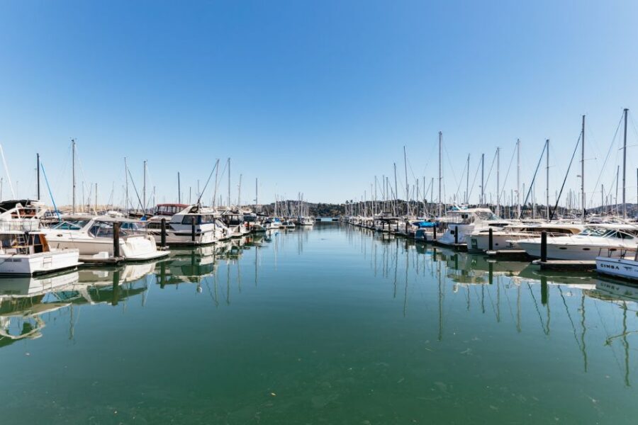 San Francisco: Muir Woods and Sausalito Small Group Tour - A 5-Hour Loop Through Golden Gate, Redwoods, and Sausalito