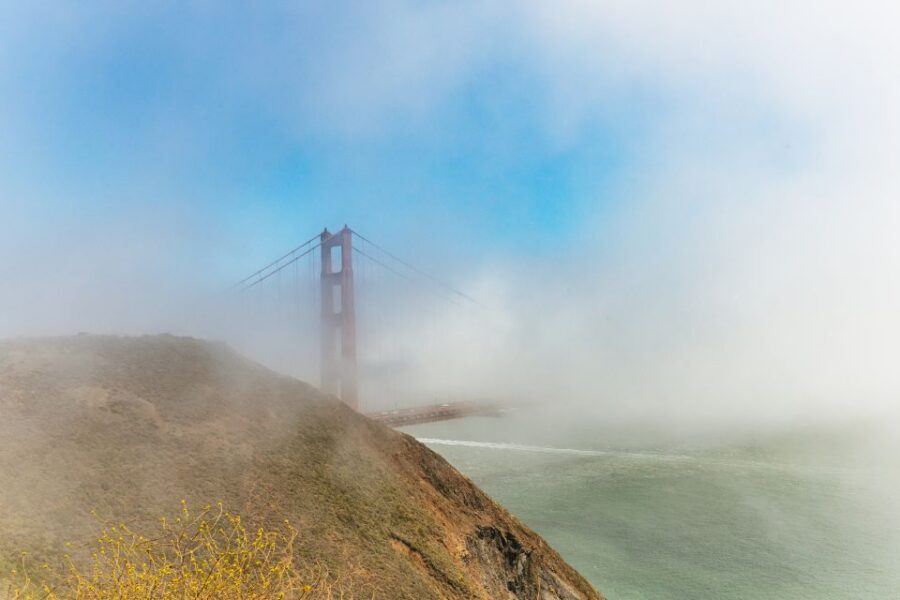 San Francisco: Muir Woods and Sausalito Small Group Tour - Sausalito on Foot: Houseboats, Shops, and Waterfront Time