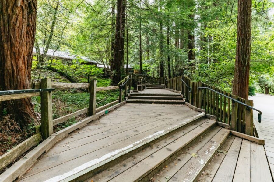 San Francisco: Muir Woods and Sausalito Small Group Tour - Price and Value: Is $80 Fair for This Mix?