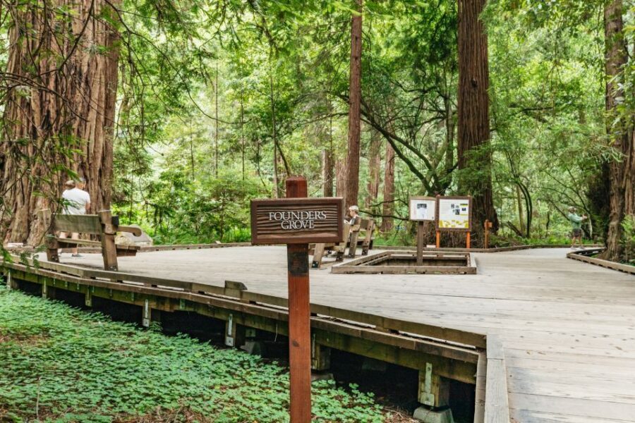 San Francisco: Muir Woods and Sausalito Small Group Tour - Logistics That Matter: Meeting Point and Drop-Off