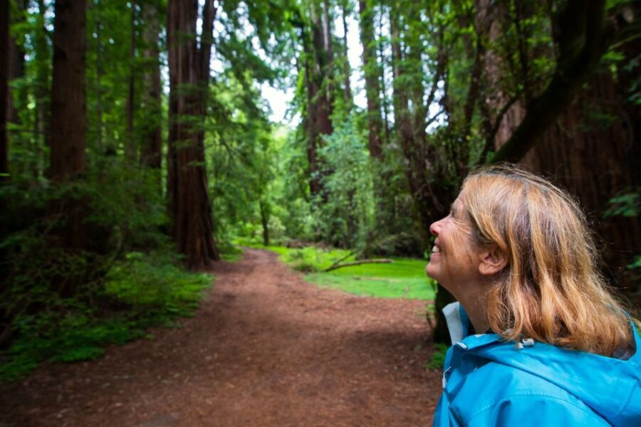 San Francisco: Muir Woods and Sausalito Tour with Admission - Trail strategy: how to get the most in limited time