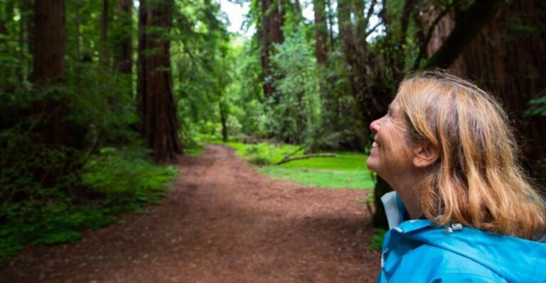 San Francisco: Muir Woods and Sausalito Tour with Admission - Entering Muir Woods: 1.5 hours among giant Coast redwoods