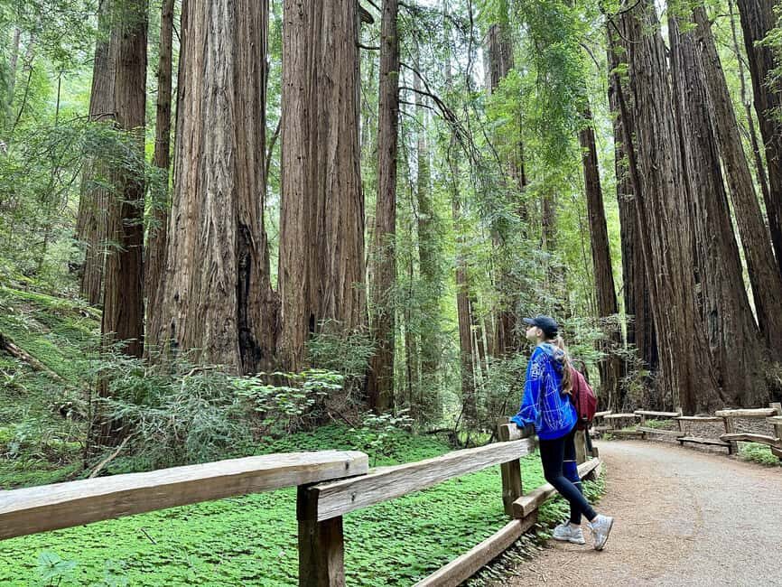 San Francisco: Muir Woods and Sausalito Tour with Admission - Who should book this Muir Woods and Sausalito tour?