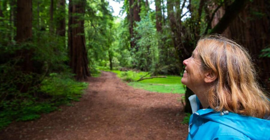 San Francisco: Muir Woods and Sausalito Tour with Admission - Entering Muir Woods: 1.5 hours among giant Coast redwoods