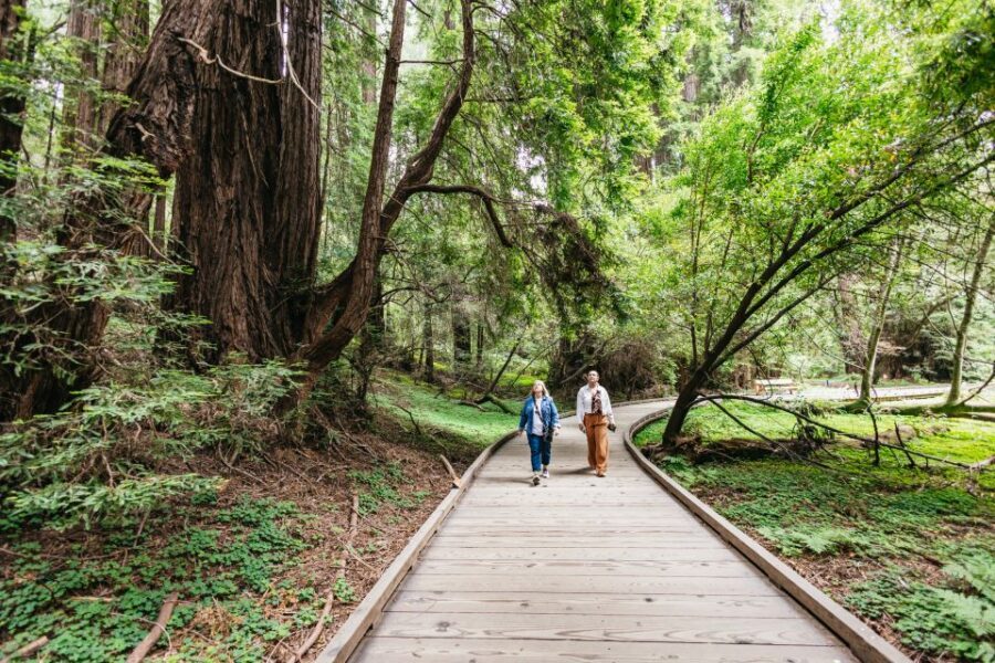 San Francisco: Muir Woods, Napa & Sonoma Valley Wine Tour - Ru Vango Winery in Napa: art, character, and a different vibe