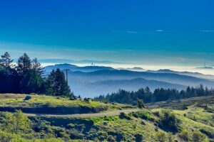 San Francisco: Muir Woods, Point Reyes, and Meadery Tour - Muir Woods National Monument: Walking Among Ancient Coastal Redwoods
