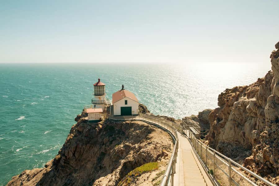 San Francisco: Muir Woods, Point Reyes, and Meadery Tour - Highway 1 to Point Reyes Station: Small-Town Lunch Break That Actually Feels Local