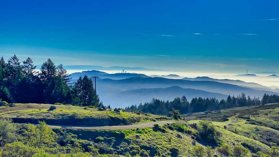 San Francisco: Muir Woods, Point Reyes, and Meadery Tour - Should You Book This San Francisco: Muir Woods, Point Reyes, and Meadery Tour?