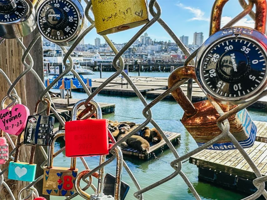 San Francisco: Muir Woods, San Francisco and Sausalito Tour - Who this tour suits best (and who might feel the pinch)