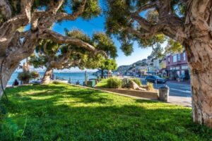 San Francisco: Muir Woods, San Francisco and Sausalito Tour - City photo stops: Chinatown, Little Italy, Golden Gate landmarks