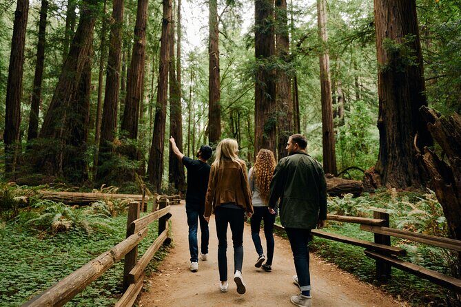 San Francisco, Muir Woods, Sausalito and optional Alcatraz tour - Muir Woods: the highlight stop that earns its hype