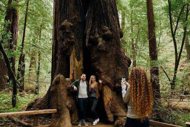 San Francisco, Muir Woods, Sausalito and optional Alcatraz tour - Comfort, timing, and group size: why guides matter more than you think