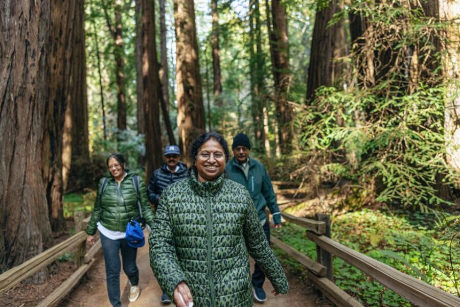 San Francisco: Muir Woods, Sausalito and SF Bay Cruise - Key highlights worth your time