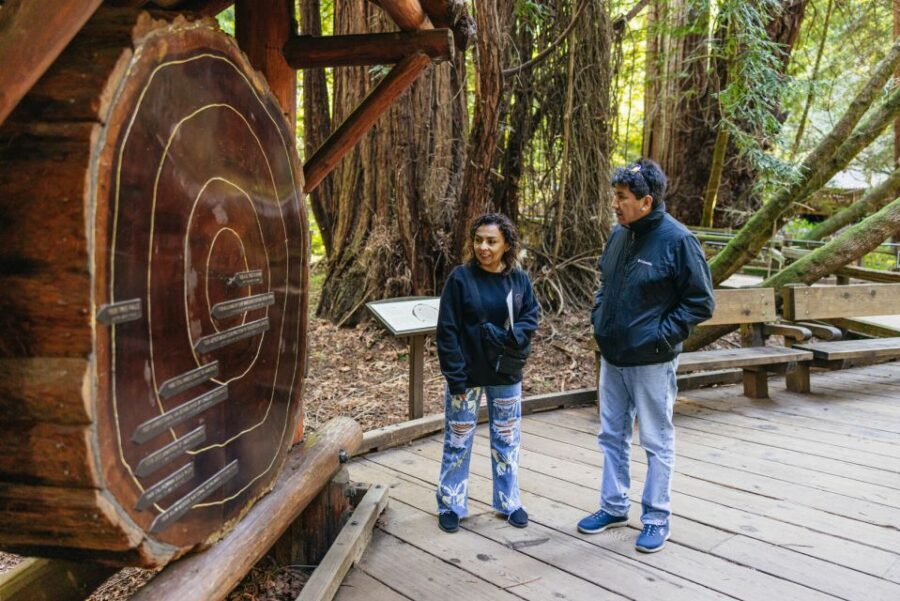 San Francisco: Muir Woods, Sausalito and SF Bay Cruise - Muir Woods in 90 Minutes: Giant Redwoods and a Real Walking Chance