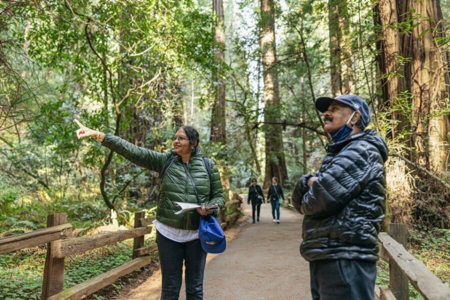 San Francisco: Muir Woods, Sausalito and SF Bay Cruise - Sausalito’s One-Hour Reality: Views, Floating Homes, and Quick Lunch Lines