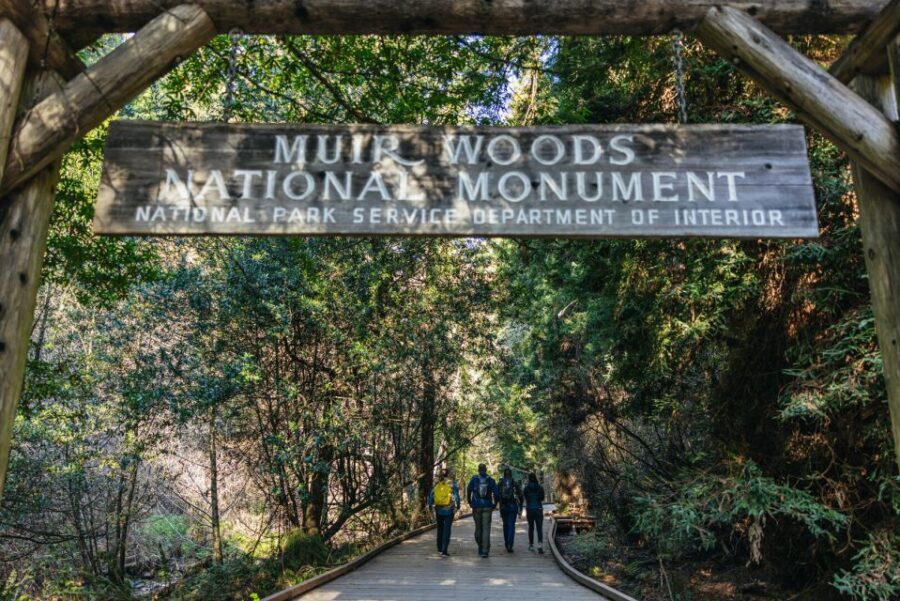 San Francisco: Muir Woods, Sausalito and SF Bay Cruise - Who Should Book This Tour (and Who Might Prefer Different Plans)
