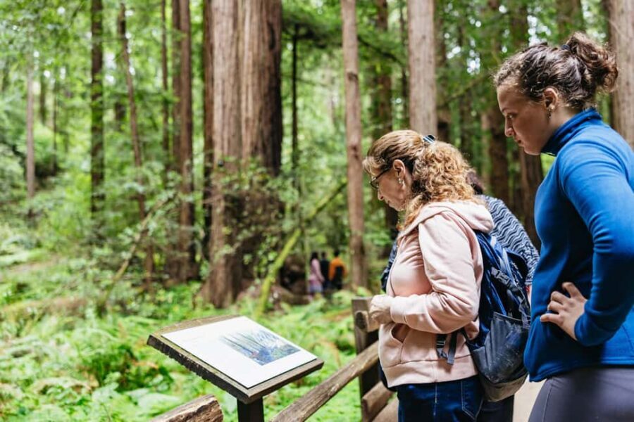 San Francisco: Muir Woods & Sausalito Tour with Ferry Option - How This Muir Woods + Sausalito Tour Really Plays Out