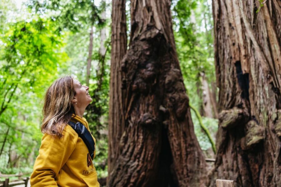 San Francisco: Muir Woods & Sausalito Tour with Ferry Option - Muir Woods: A Guaranteed 90-Minute Walk Among Giant Redwoods