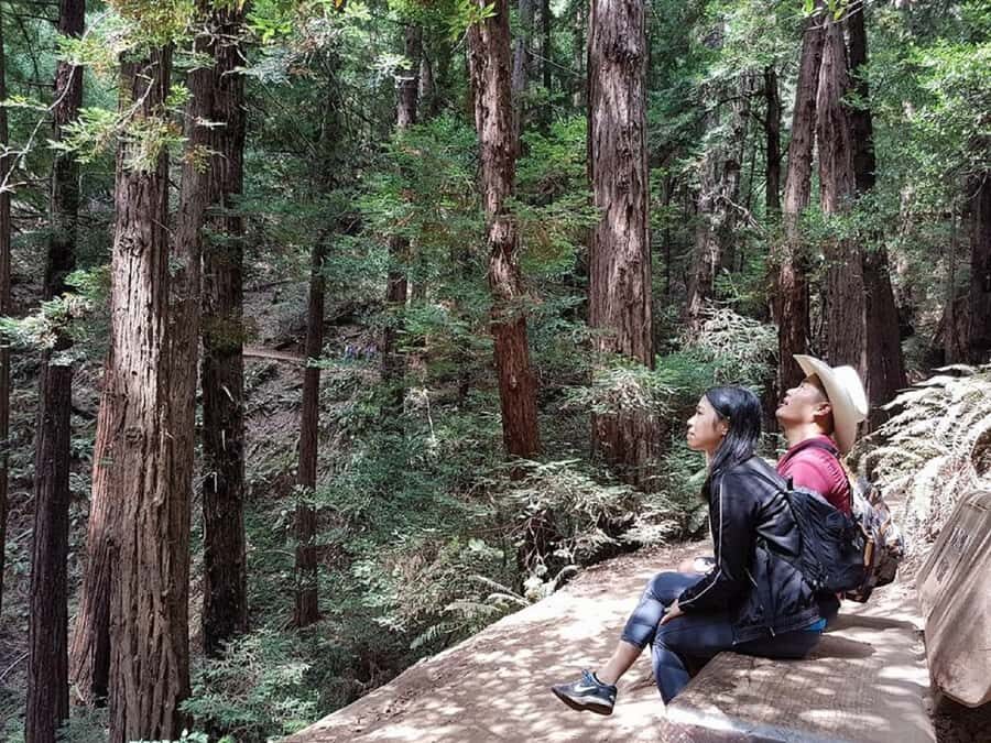 San Francisco: Muir Woods Tour & Golden Gate Bay Cruise - Ride North Over the Golden Gate: The Value of a Planned Route