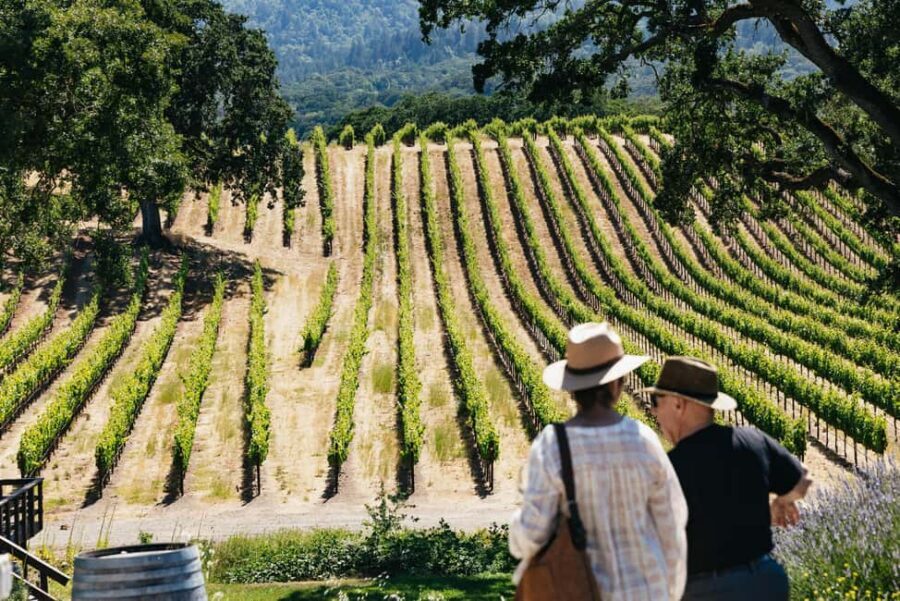 San Francisco: Napa and Sonoma Valley Wine Tour - From Union Square or Fisherman’s Wharf, You’re Out the Door Fast