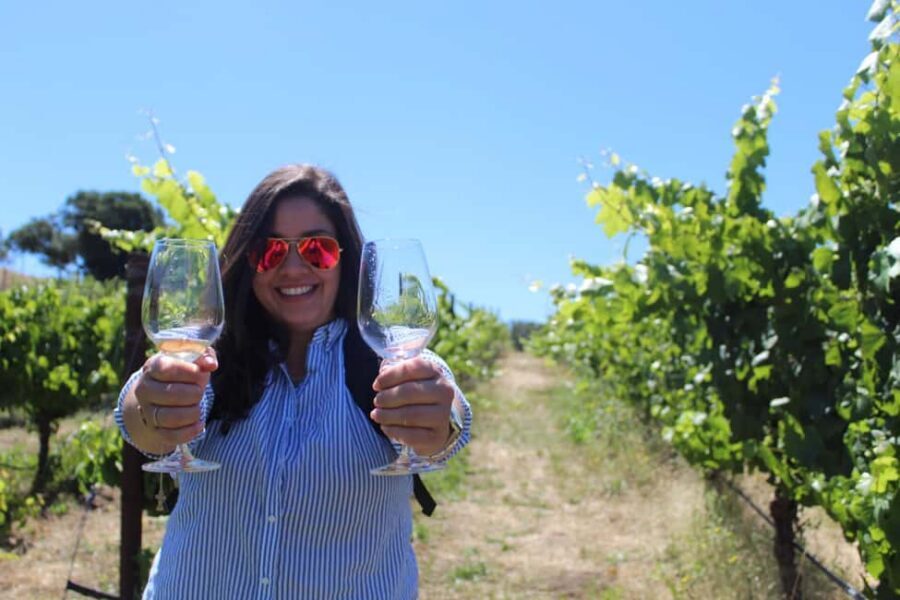 San Francisco: Napa and Sonoma Valley Wine Tour - The Drive into Wine Country: Scenic, But Time-Sensitive
