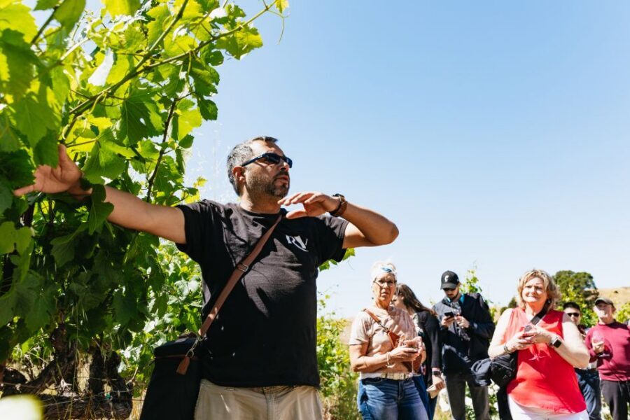 San Francisco: Napa and Sonoma Valley Wine Tour - Winery Stop #1: Guided Tour + Tasting in Napa or Sonoma