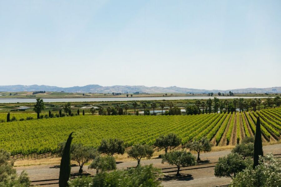 San Francisco: Napa and Sonoma Valley Wine Tour - Winery Stop #2: Another 1-Hour Tasting Window