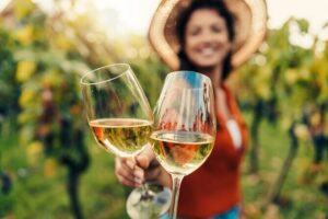 San Francisco: Napa & Sonoma Wine Tour & 24hr Hop-on Hop-off Tour - Full-Day Napa Wine Tour: What 3 Winery Stops Really Means