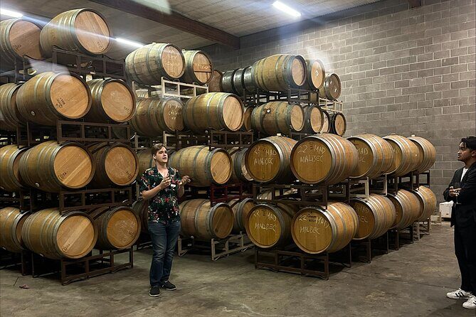 San Francisco: Napa & Sonoma Wine Tour & 24hr Hop-on Hop-off Tour - Half-Day Option: When 2 Wineries Makes More Sense