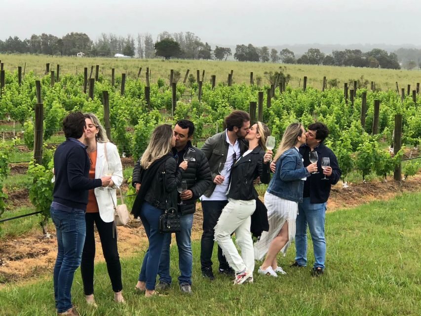 San Francisco: Napa Valley Half-Day Wine Tour with Tastings - Key highlights you’ll actually feel