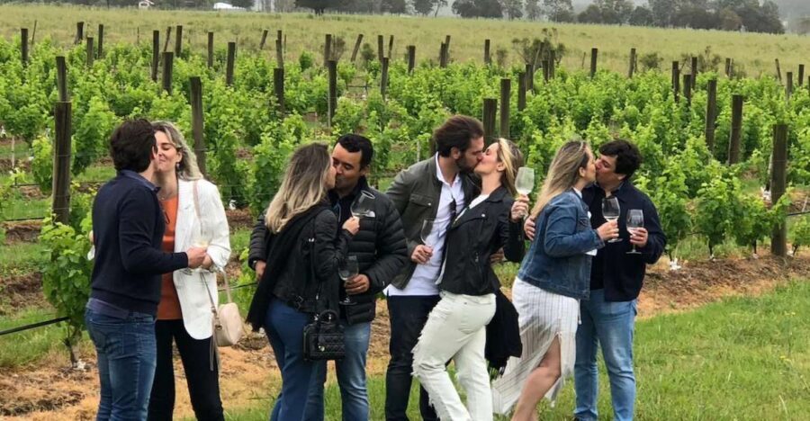 San Francisco: Napa Valley Half-Day Wine Tour with Tastings - Golden Gate Bridge to Vine Hills: the ride that sets the mood