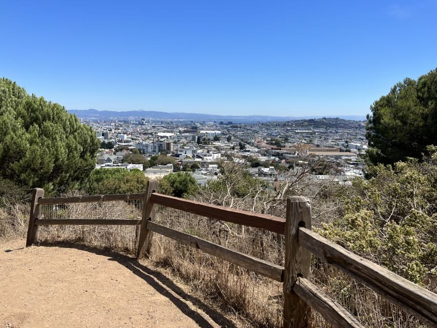 San Francisco: Neighborhood Walking Tour - 6 Route Options - Meet your local historian guide and why that matters