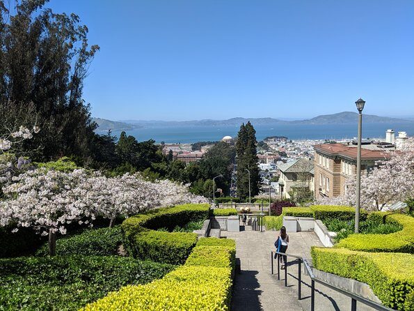 San Francisco Private City Tour - Palace of Fine Arts and the Bridge Connection