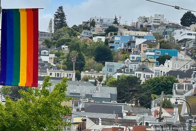 San Francisco Private City Tour in New EV Volkswagen Van - Presidio Park + a French-Government Gift Art Gallery