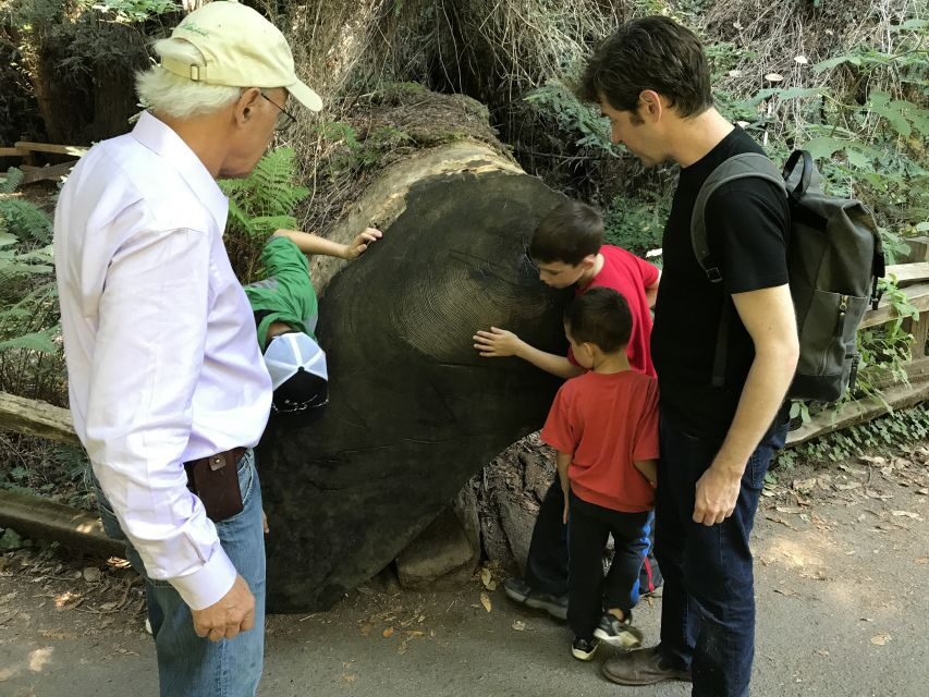 San Francisco: Private Muir Woods and Sausalito Tour - Group size and the van: comfortable, but know the seating style