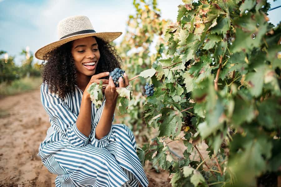 San Francisco: Redwood & Wine Country Tour with Lunch & Wine - Key Things That Make This Day Trip Work