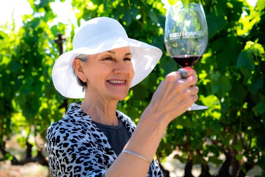 San Francisco: Redwood & Wine Country Tour with Lunch & Wine - Sonoma Plaza Lunch: Three Courses and Wine Pairings to Match
