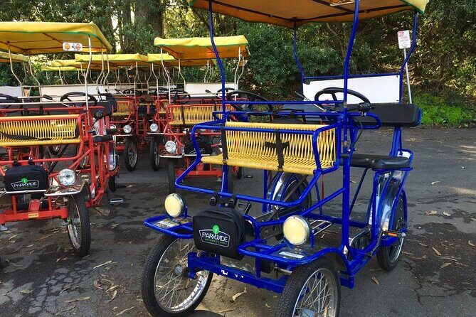 San Francisco: Scenic Surrey Ride Through Golden Gate Park - Golden Gate Park by Surrey: Why This 1-Hour Loop Works