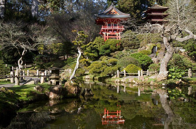 San Francisco: Scenic Surrey Ride Through Golden Gate Park - How to Pace It: The Stops That Fit Best in an Hour