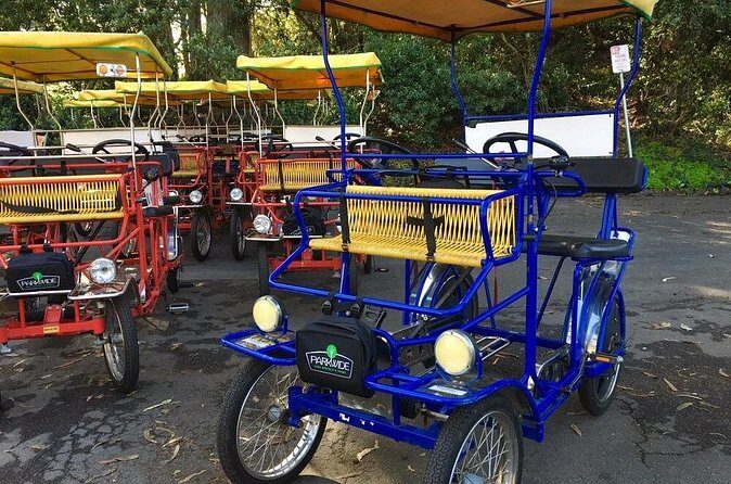San Francisco: Scenic Surrey Ride Through Golden Gate Park - The Pedal Reality: Hills, Weight, and One-Gear Effort