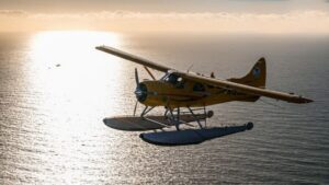 San Francisco: Seaplane Flight with Champagne - Champagne Time: Moet Chandon and the Under-20 Switch
